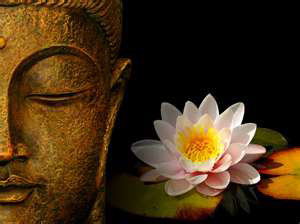 Buddha and lotus flower